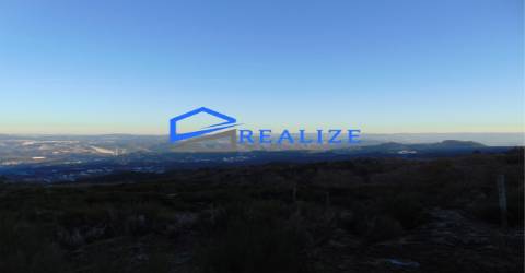 Terra na Pena Vila Real