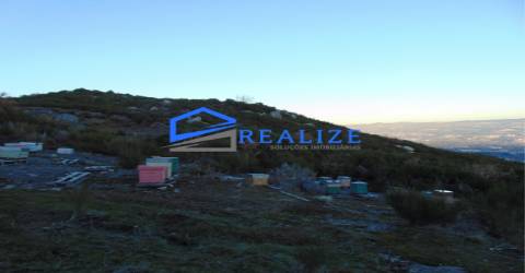 Terra na Pena Vila Real