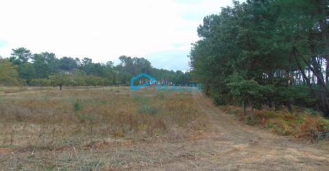 Terreno em Constantim