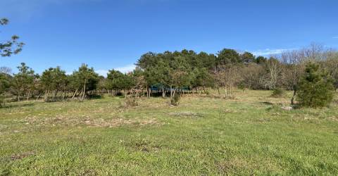 Terreno com excelente exposição solar