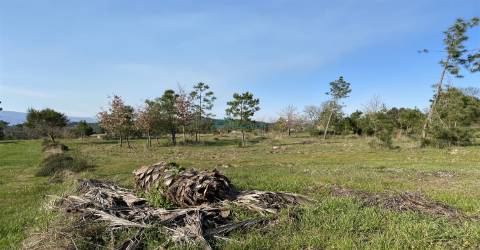 Terreno com excelente exposição solar