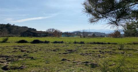 Terreno com excelente exposição solar