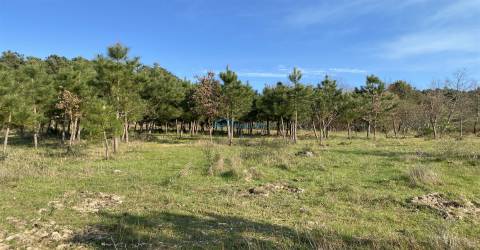 Terreno com excelente exposição solar