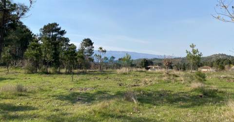 Terreno com excelente exposição solar