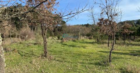 Terreno com excelente exposição solar