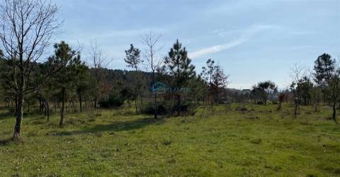 Terreno com excelente exposição solar