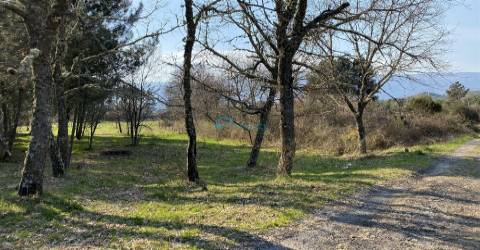 Terreno com excelente exposição solar