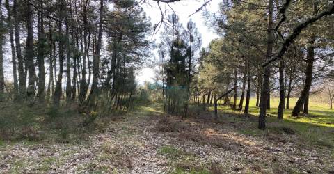 Terreno com excelente exposição solar