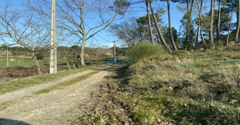 Terreno com excelente exposição solar