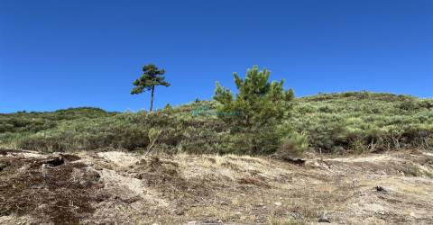 Terreno com excelentes vistas sobre Vila Real