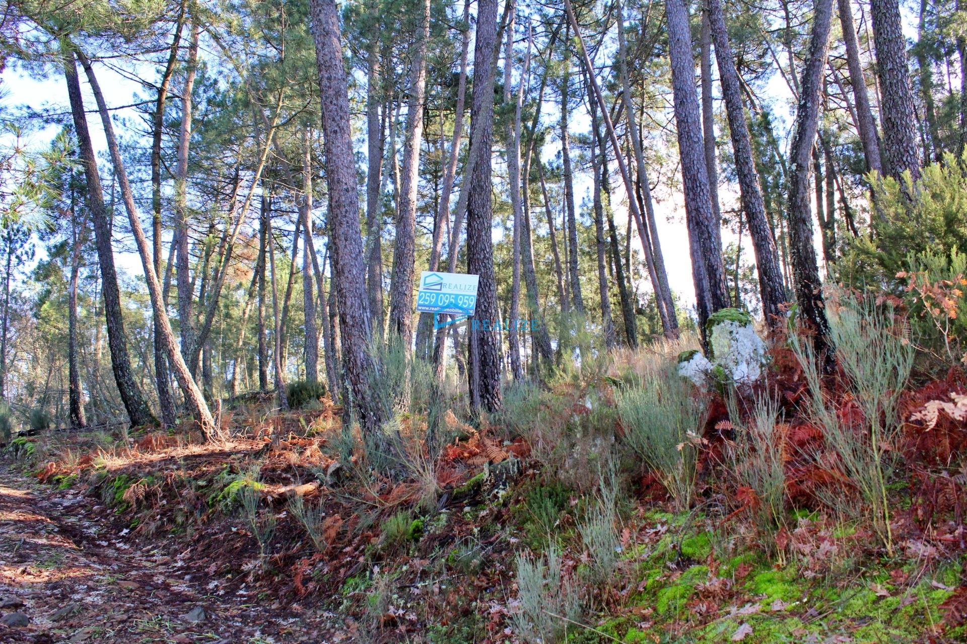 Terreno junto à Sra da Pena