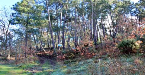 Terreno junto à Sra da Pena