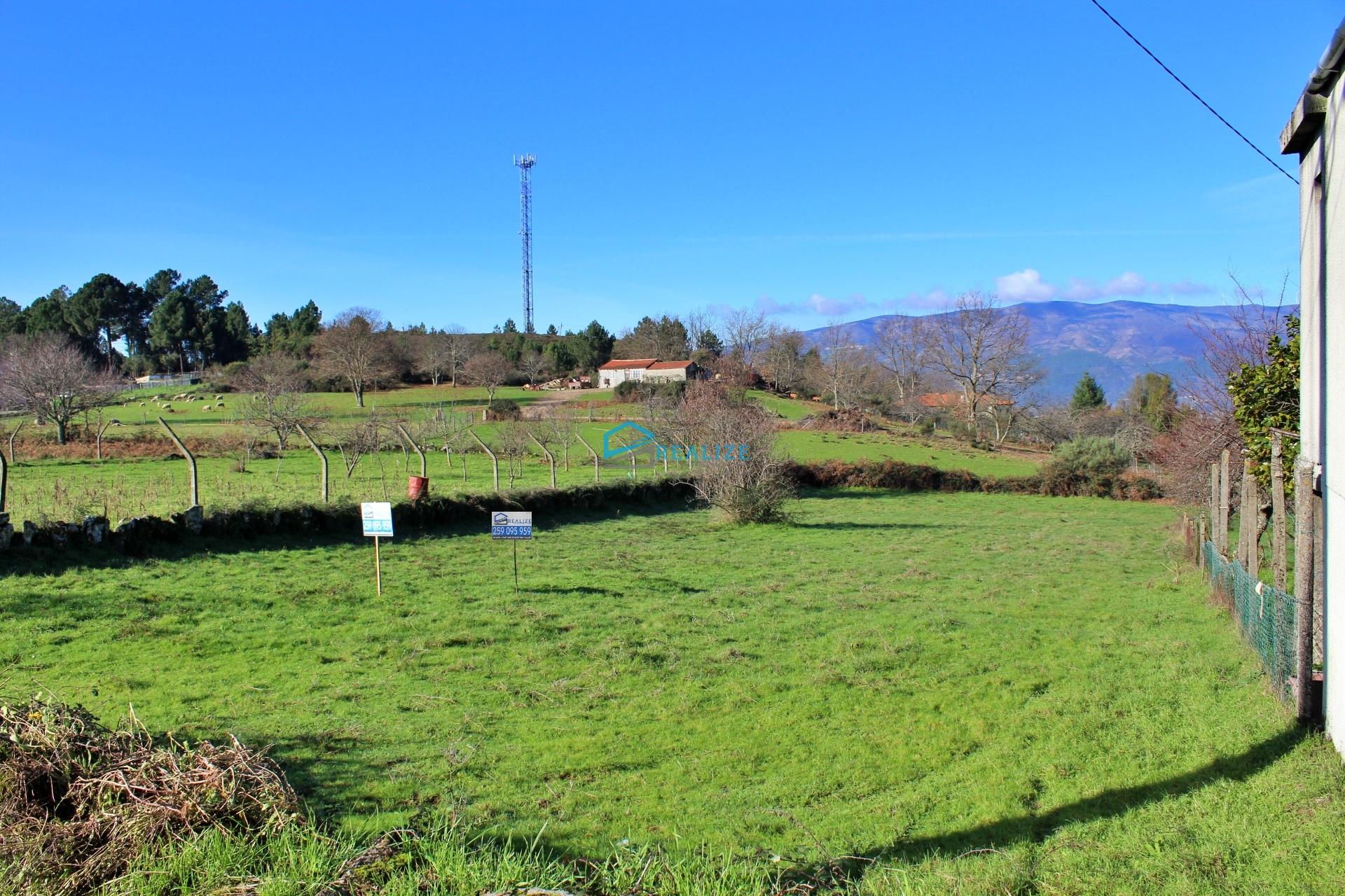 Terreno em Alvites