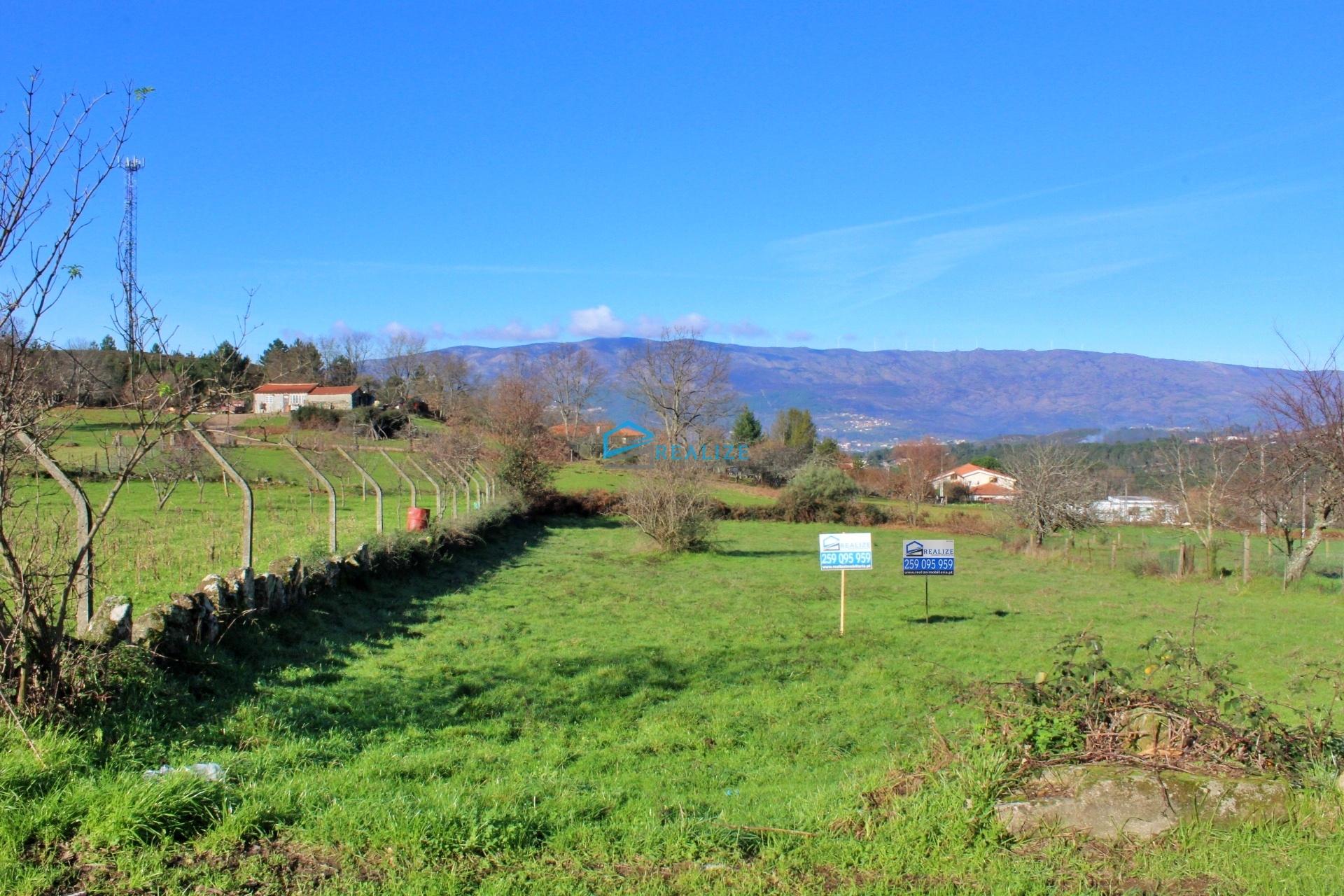 Terreno em Alvites