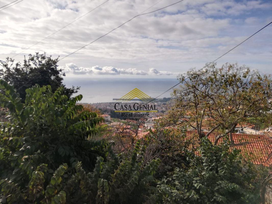 Terreno  Venda em Monte,Funchal