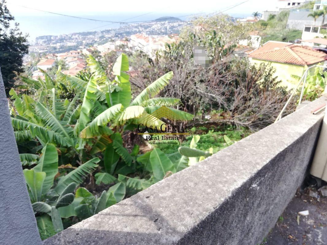 Terreno  Venda em Monte,Funchal