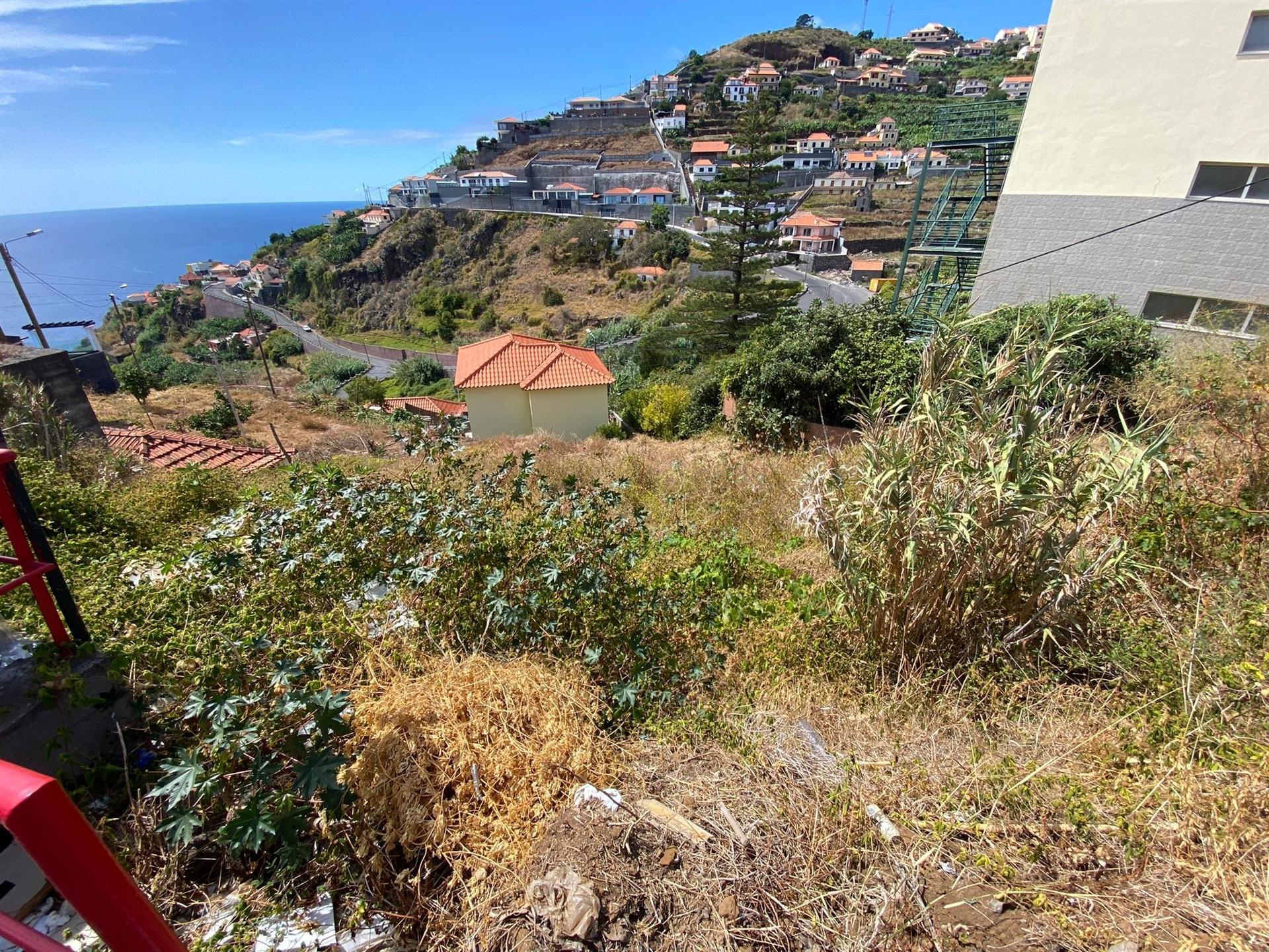 Lote de Terreno  Venda em Tábua,Ribeira Brava