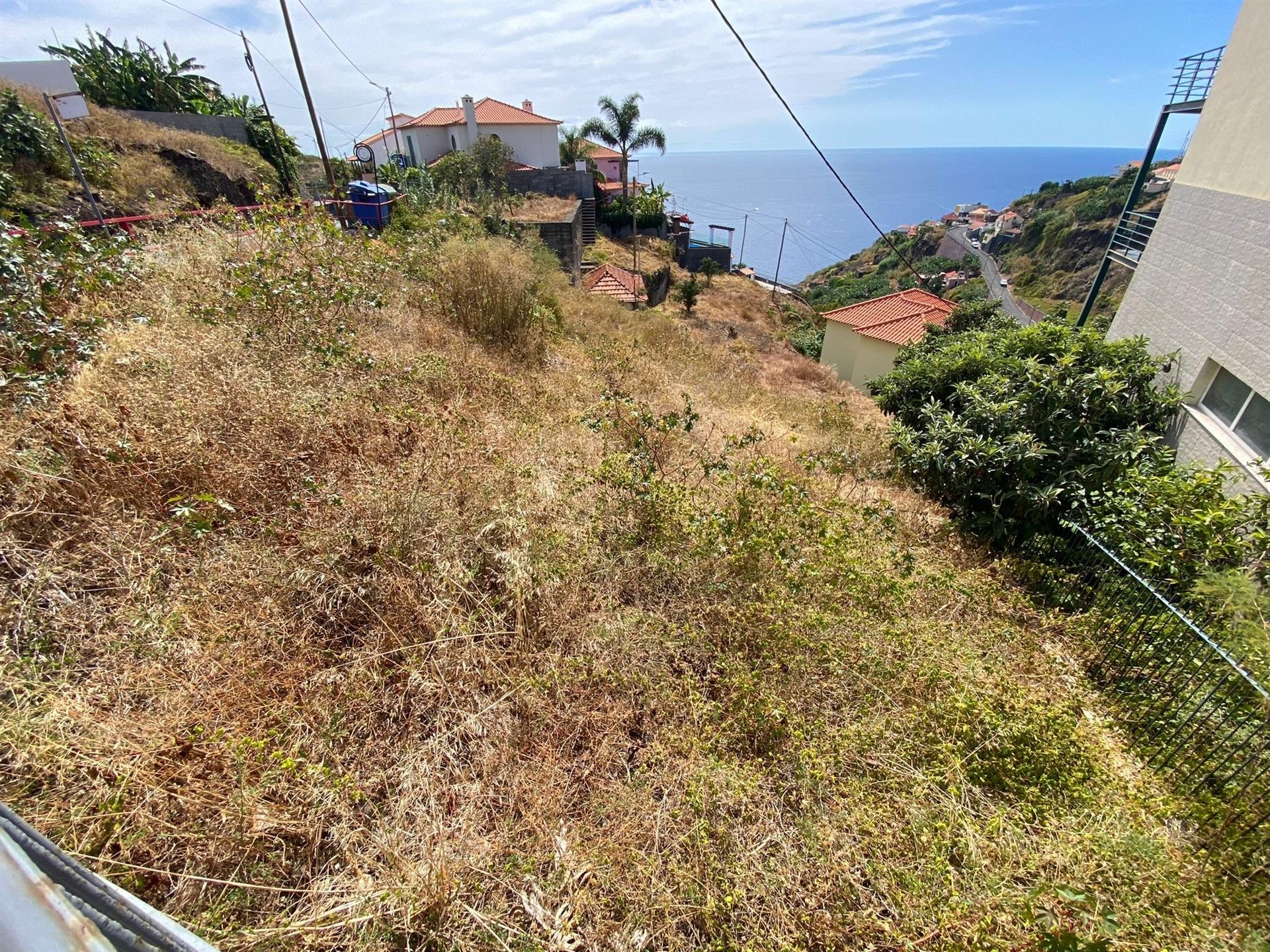 Lote de Terreno  Venda em Tábua,Ribeira Brava