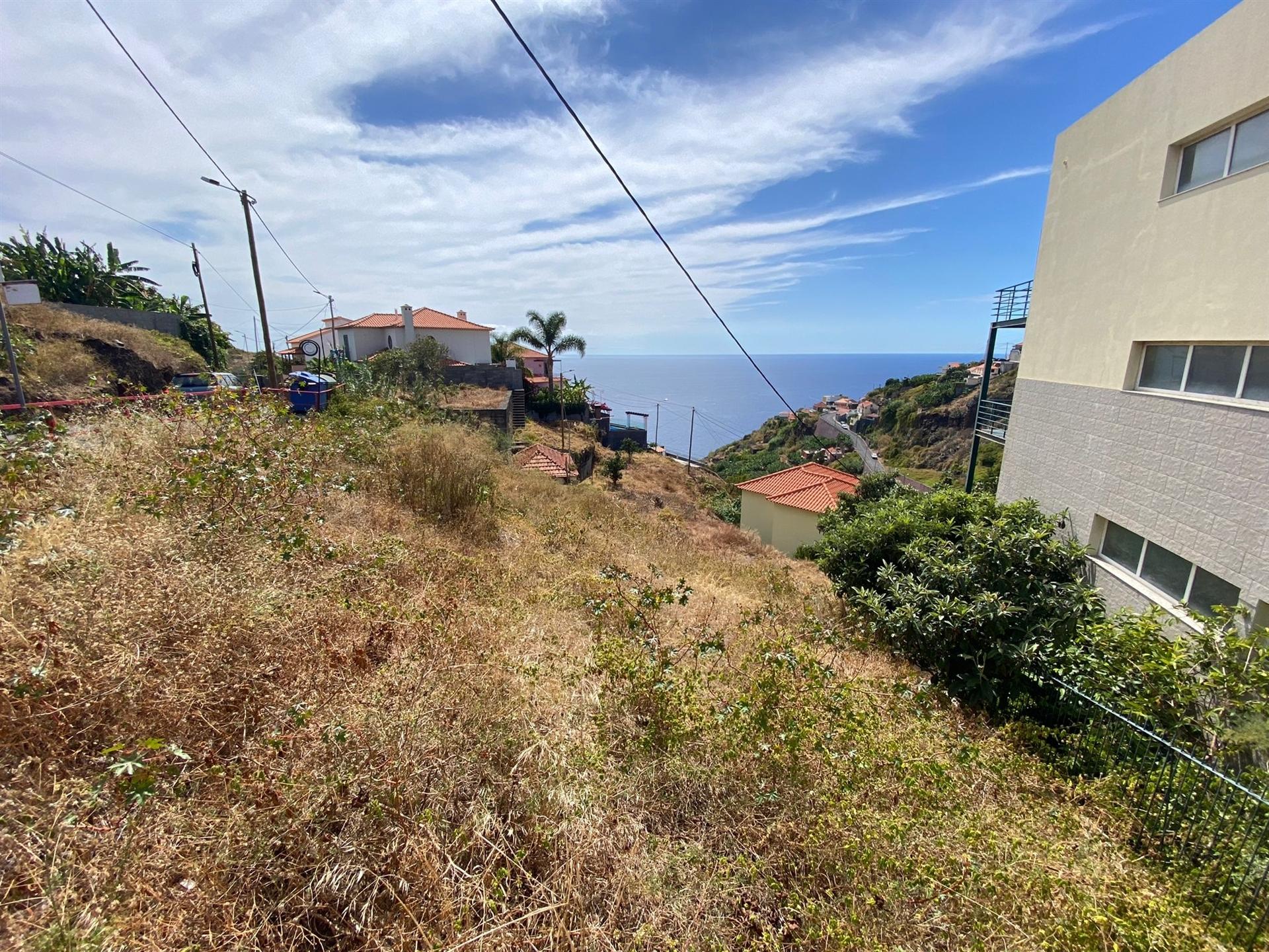 Lote de Terreno  Venda em Tábua,Ribeira Brava