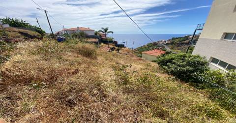 Lote de Terreno  Venda em Tábua,Ribeira Brava