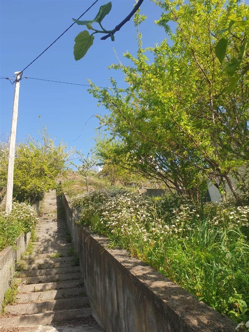 Lote de Terreno  Venda em Estreito de Câmara de Lobos,Câmara de Lobos