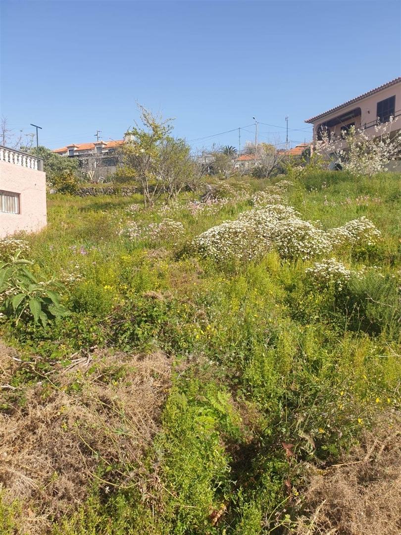 Lote de Terreno  Venda em Estreito de Câmara de Lobos,Câmara de Lobos