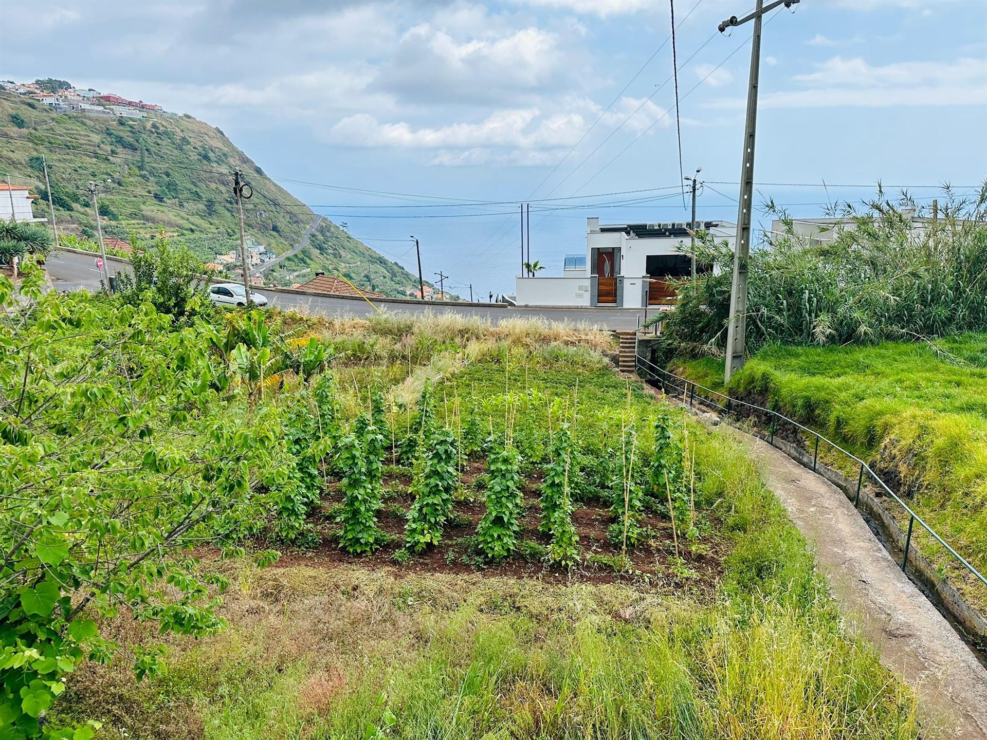 Moradia T2+2 Venda em Arco da Calheta,Calheta (Madeira)