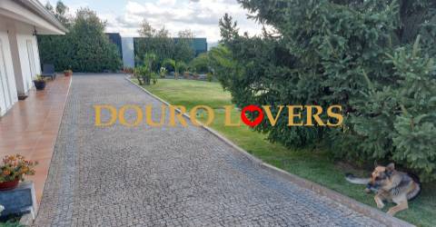 Moradia T3 em Penafiel