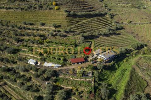 Quinta no Alto Douro Vinhateiro em Vila Seca, Armamar