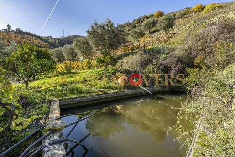 Quinta no Alto Douro Vinhateiro em Vila Seca, Armamar