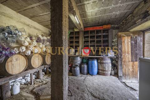 Quinta no Alto Douro Vinhateiro em Vila Seca, Armamar