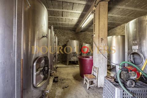 Quinta no Alto Douro Vinhateiro em Vila Seca, Armamar