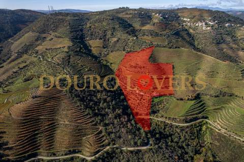 Quinta no Alto Douro Vinhateiro em Vila Seca, Armamar