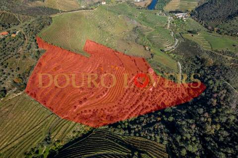 Quinta no Alto Douro Vinhateiro em Vila Seca, Armamar