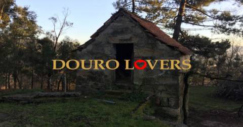 Terreno em Sande, São Lourenço