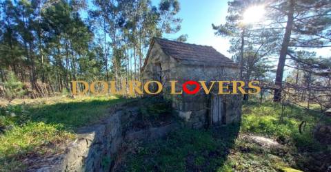 Terreno em Sande, São Lourenço