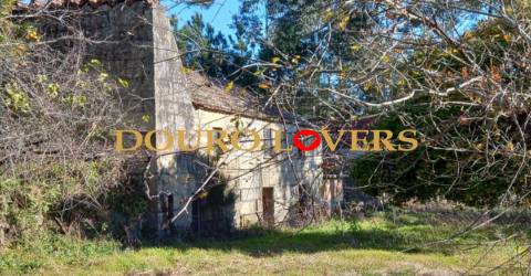 Terreno em Sande, São Lourenço