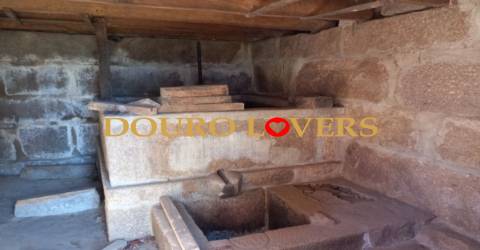 Terreno em Sande, São Lourenço