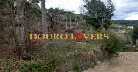 Quinta em Marco de Canaveses