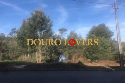 Terreno em Crestuma, Vila Nova de Gaia, a 200 mts do rio Douro, para construção de moradias.