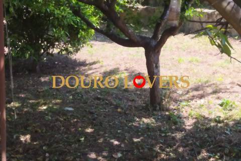 Moradia à venda em Arcozelo