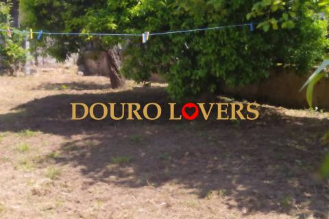 Moradia à venda em Arcozelo