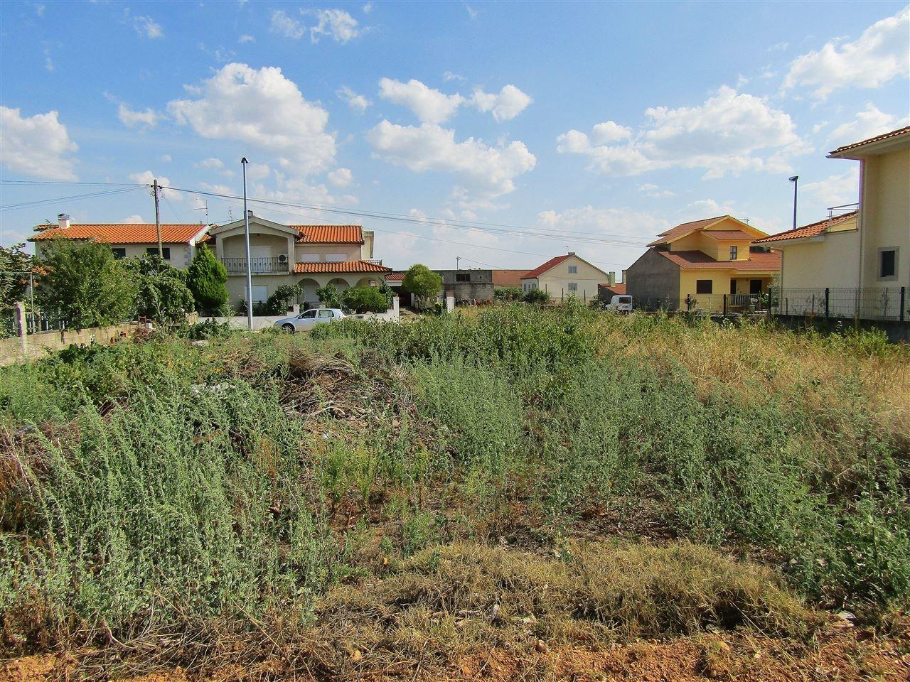 Terreno para construção, Sendim