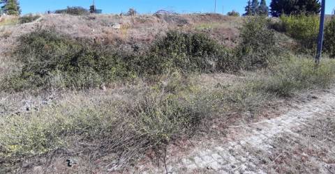 Lote para construção, Bairro Verde, Miranda do Douro