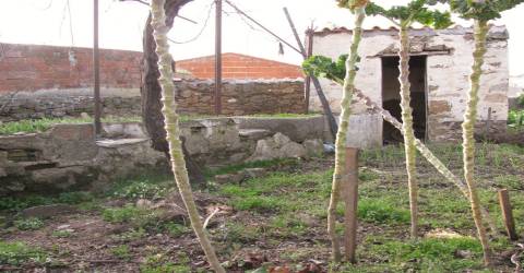 Prédio zona histórica Miranda do Douro