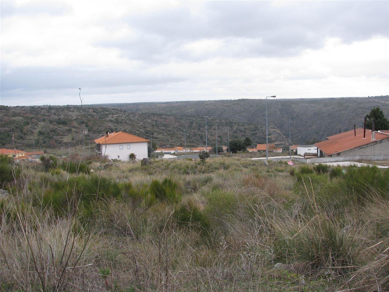 Terreno para construção, Miranda do Douro