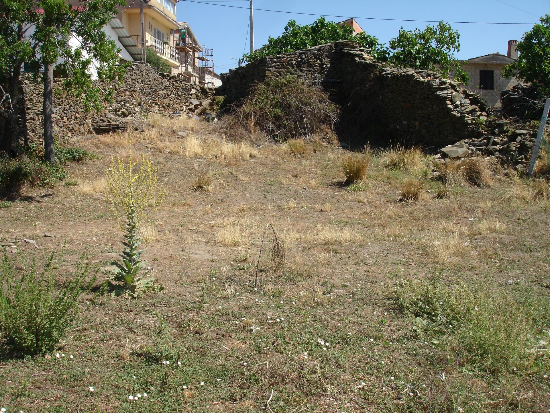 Terreno com ruina, Meirinhos