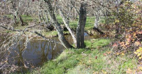 Terreno rústico, Miranda do Douro