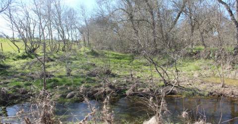 Terreno rústico, Miranda do Douro