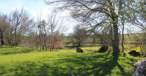 Terreno rústico, Miranda do Douro